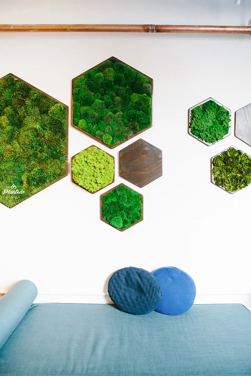 mossさま専用ページ Gallery - NRDC Hex Moss — Planted Design